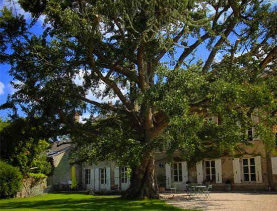 Domaine Saint-Hilaire Hotel Meung-sur-Loire Luaran gambar