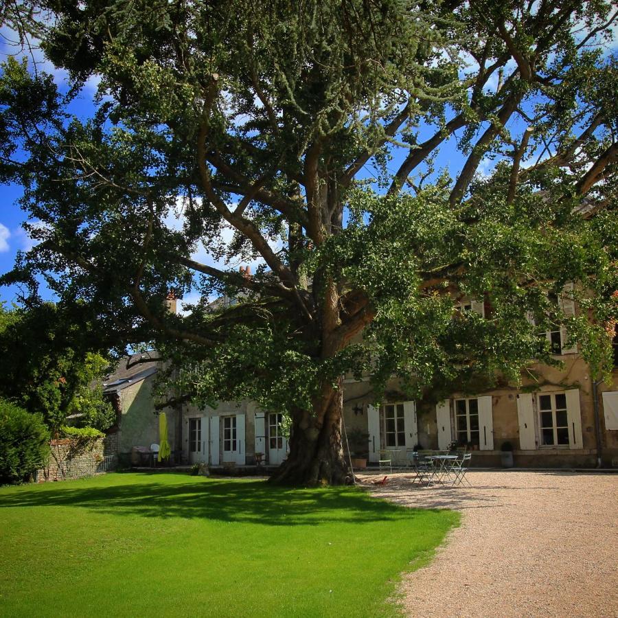 Domaine Saint-Hilaire Hotel Meung-sur-Loire Luaran gambar