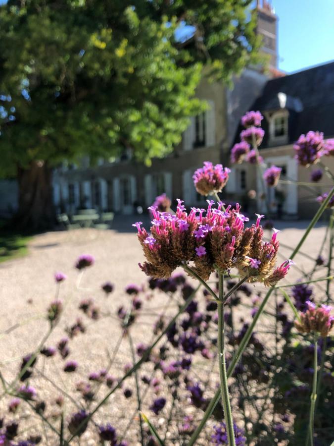 Domaine Saint-Hilaire Hotel Meung-sur-Loire Luaran gambar